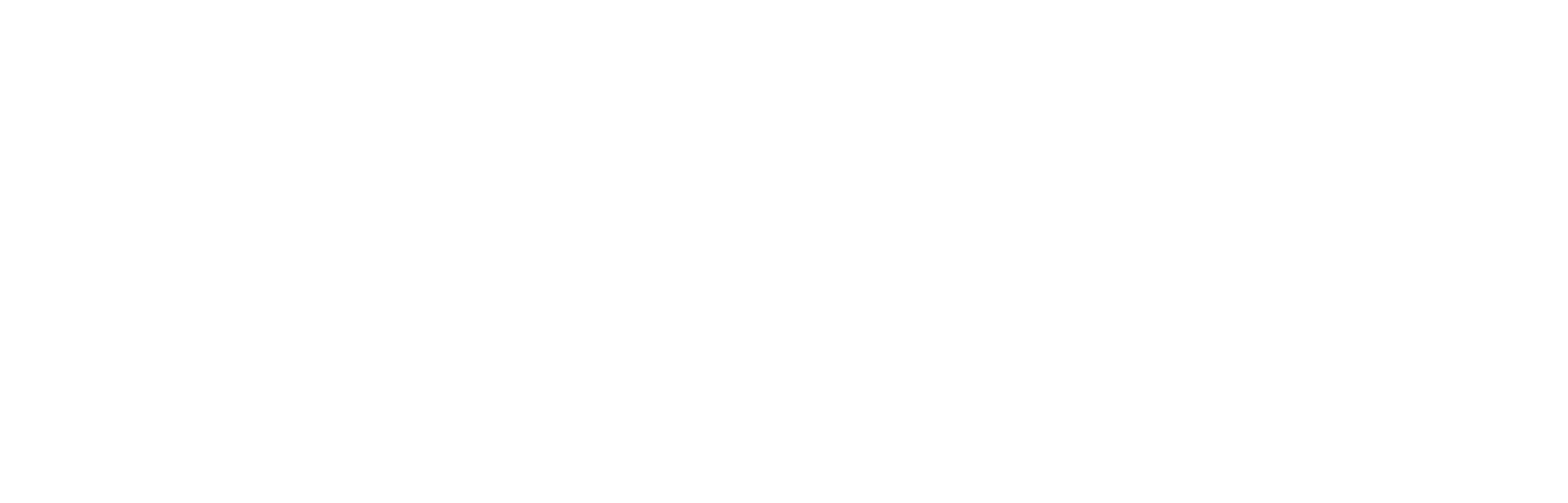 Logo FSM ZL